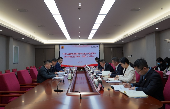 J9九游会集团党委书记、董事长任丁出席安逸酒店集团2022年度党员领导干部民主生活会